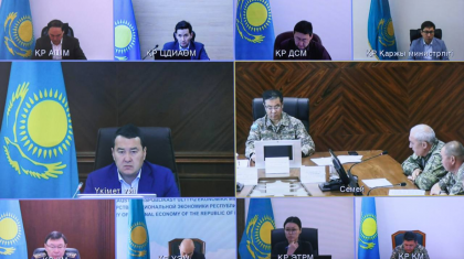 Үкіметте Абай облысындағы ірі табиғи өртті жою шаралары талқыланды