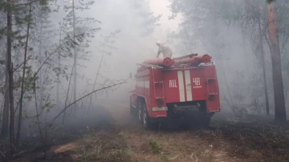 Абай облысында 7 учаскеде өртті сөндіру жұмыстары жалғасуда