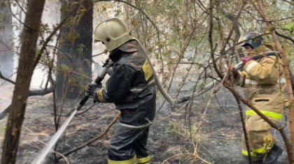 ТЖМ: Абай облысында өртті сөндіру үш бағытта жалғасуда