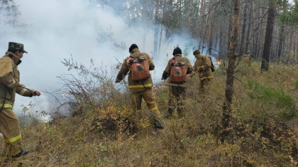 «Екі техника өртенді, тракторшы әлі табылмады»: Нұрлан Ұранхаев өңірдегі өрт жайлы