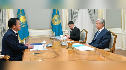 Тоқаев UMC басшысымен отандық денсаулық сақтау жүйесінің мәселелерін талқылады