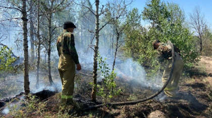 Қарағанды облысында ормандағы өрт жедел сөндірілді