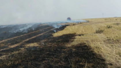 Павлодар облысының екі ауданында дала өрті сөндіріліп жатыр