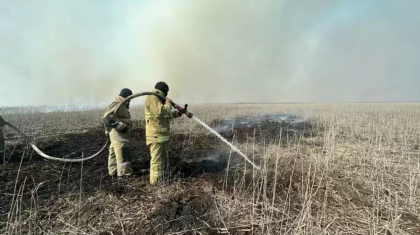 Каспий жағалауында бірнеше күнге созылған қамыс өрті сөндірілді