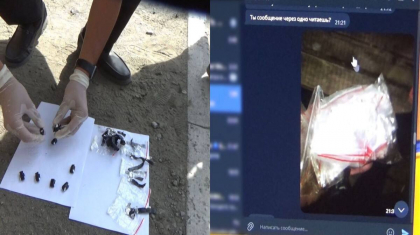 Абай облысында есірткі қойып кетумен айналысқан жастар тобы қолға түсті