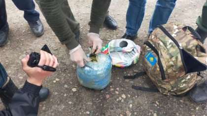 Қостанай облысында полицейлер 58 келіден астам марихуана тәркіледі