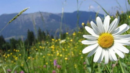 Бүгін еліміздің басым бөлігінде күн райы құбылмалы болады