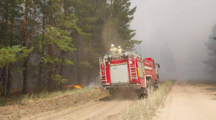 Абай облысында 11 күн бойы жанған орман өрті сөндірілді