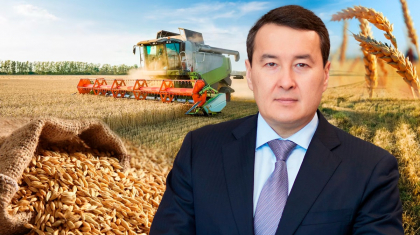 «Қазақстандықтар нансыз қалмайды»: Смайылов егін жинау науқаны жайлы
