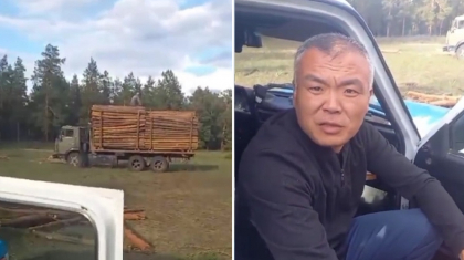 «Семей орманынан» жүк көлігін толтыра ағаш тиеп алғандар ұсталды