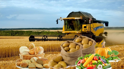 Үкімет отандық ауыл шаруашылығы өнімін өндірушілерге қолдау көрсетеді