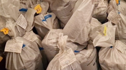 Павлодар облысында 700 келіден астам есірткі жойылды