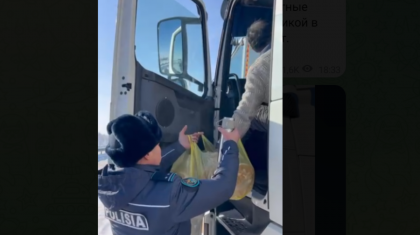 Жамбыл облысында 500-ден астам жүк көлігі тас жолдардың бойында тұр