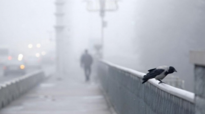 Тұман, көктайғақ, қатты жел: 15 облыста дауылды ескерту жарияланды