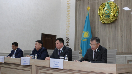 Алматы облысының тұрғындары депутатқа мәселелерін айтты