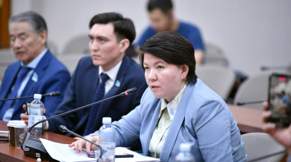 Жаңа заң шаңырақты шайқалтуға емес, отбасын нығайтуға бағытталған - Сүлейменова