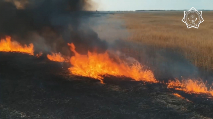 Атырау облысында бір аптаға созылған қамыс өрті сөндірілді
