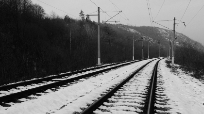 Павлодар облысында жүк пойызы жылқыларды қағып кетті