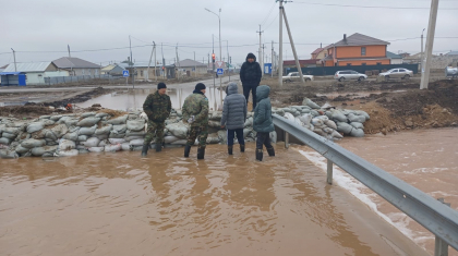 Мәжіліс депутаттарының су тасқынына байланысты өңірлерге сапары жалғасуда