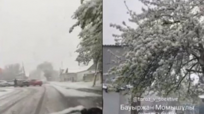 Жамбыл облысында қар жауды