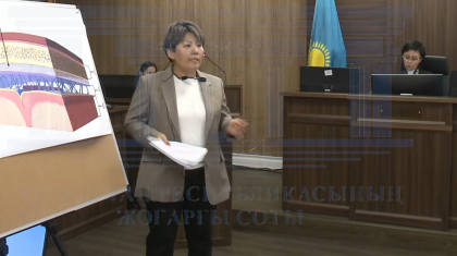Бишімбаев бүкіл ескі Қазақстан үшін жауап бермейді – адвокат