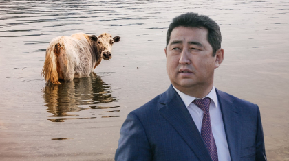 Үш куәгер керек: министр құжаты жоқ өлген мал үшін өтемақыны қалай алуға болатынын түсіндірді