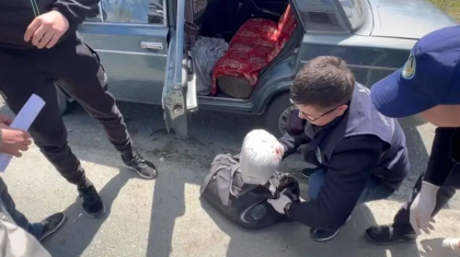 Абай облысының тұрғынынан аса ірі мөлшерде марихуана тәркіленді