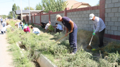 «Таза Қазақстан»: СҚО және Түркістан облыстарында экоакциялар өтті