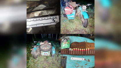 «Елікті атып, ағашқа іліп қойған»: СҚО-да заңсыз аң аулаған браконьер ұсталды