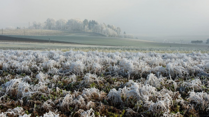 Солтүстік пен шығыста күн суытып, үсік жүреді – Қазгидромет