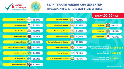 АЭС: Референдумда дауыс беруге қанша адам қатысты
