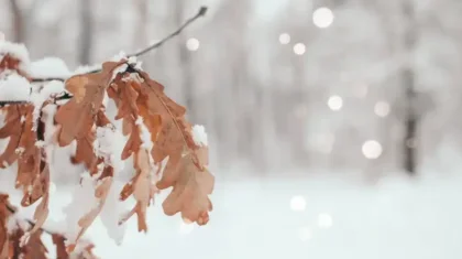 Еліміздің басым бөлігінде дауылды ескерту жарияланды