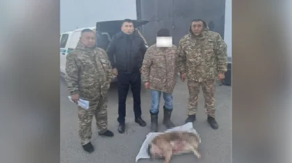 Алматы облысында Қызыл кітапқа енген қарақұйрықты атып алған адам ұсталды