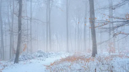 Тұман, көктайғақ: елдің 10 өңірінде дауылды ескерту жарияланды