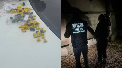 Алматы облысында ер адамнан синтетикалық есірткінің ірі партиясы тәркіленді