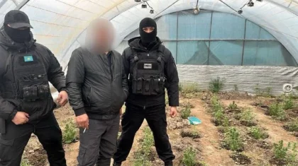Қызылорда облысында есірткі зертханасы жойылды