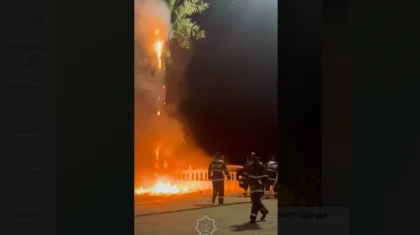 Жаңа жыл түнінде Ақтаудағы жасанды пальма өртенді (ВИДЕО)