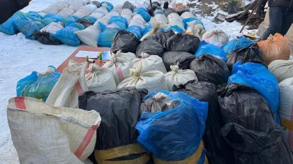 Қазақстанның оңтүстігінен Астанаға ірі көлемде есірткі жеткізіп отырған арна анықталды (ВИДЕО)