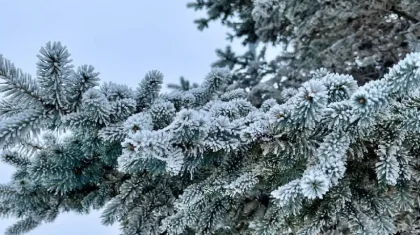 25 қаңтарға арналған ауа райы болжамы белгілі болды