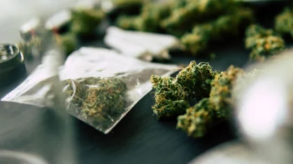 Павлодар облысында азық-түлік дәмдеуіштері сатылатын орында есірткі саудаланып келген