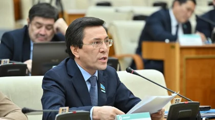 Экономиканы әртараптандыру және цифрландыру қажет - депутат