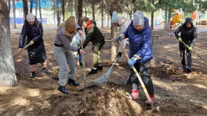 «Таза бейсенбі»: өңірлерде көгалдандыру жұмысы жүріп жатыр