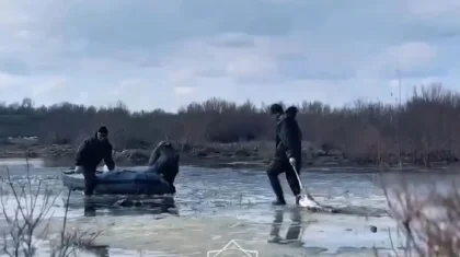Ұлытау облысында 14 мыңға жуық киік қырылып қалған