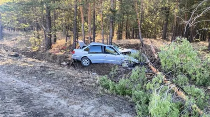 Абай облысында көлік ағашқа соғылып, жүргізушісі көз жұмды