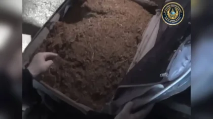 Павлодар облысында үйінде ондаған килограмм есірткі сақтаған адам ұсталды