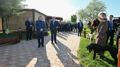 Тоқаев Бердімұхамедовке қазақы тазы тұқымы туралы айтып берді