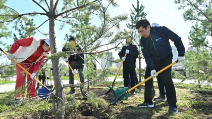 Мәжіліс депутаттары Астанада 100 түп ағаш отырғызды
