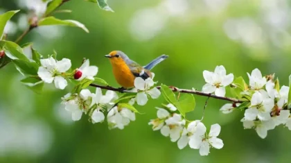 Мамырдың алғашқы күні Қазақстанда ауа райы қандай болады