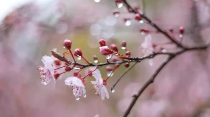 Мамыр айында ауа райы қандай болады