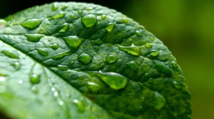 22 мамырда елімізде ауа райы жауын-шашынды болады